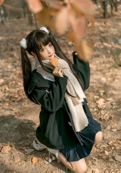 天鹅套索